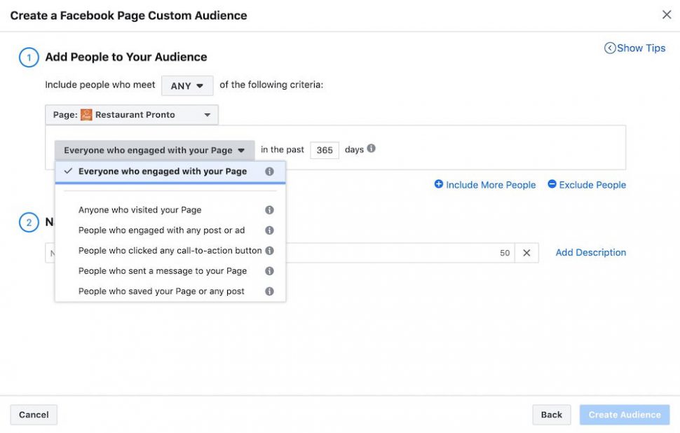 facebook page custom audience options