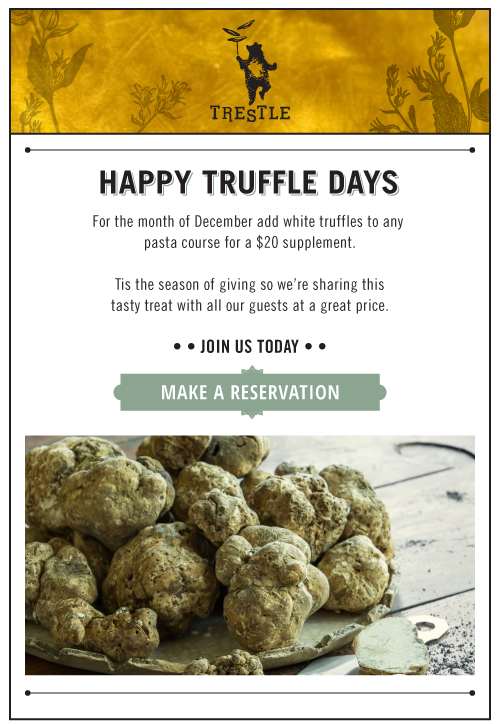 restaurant promotion email sample